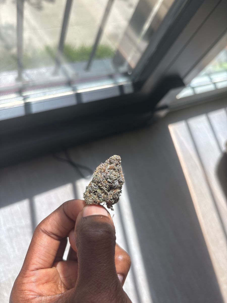 Terpgasm strain