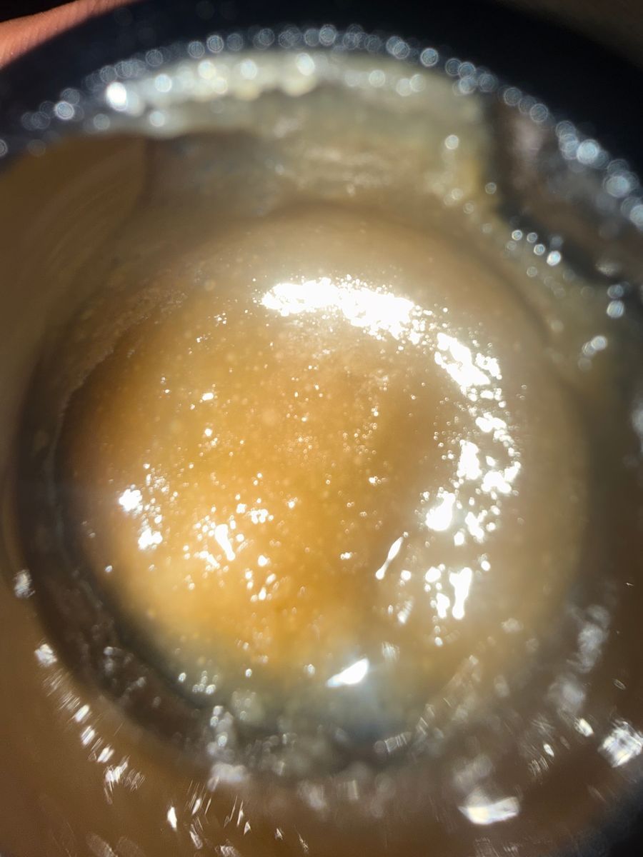 Erb N Terps Donny Burger