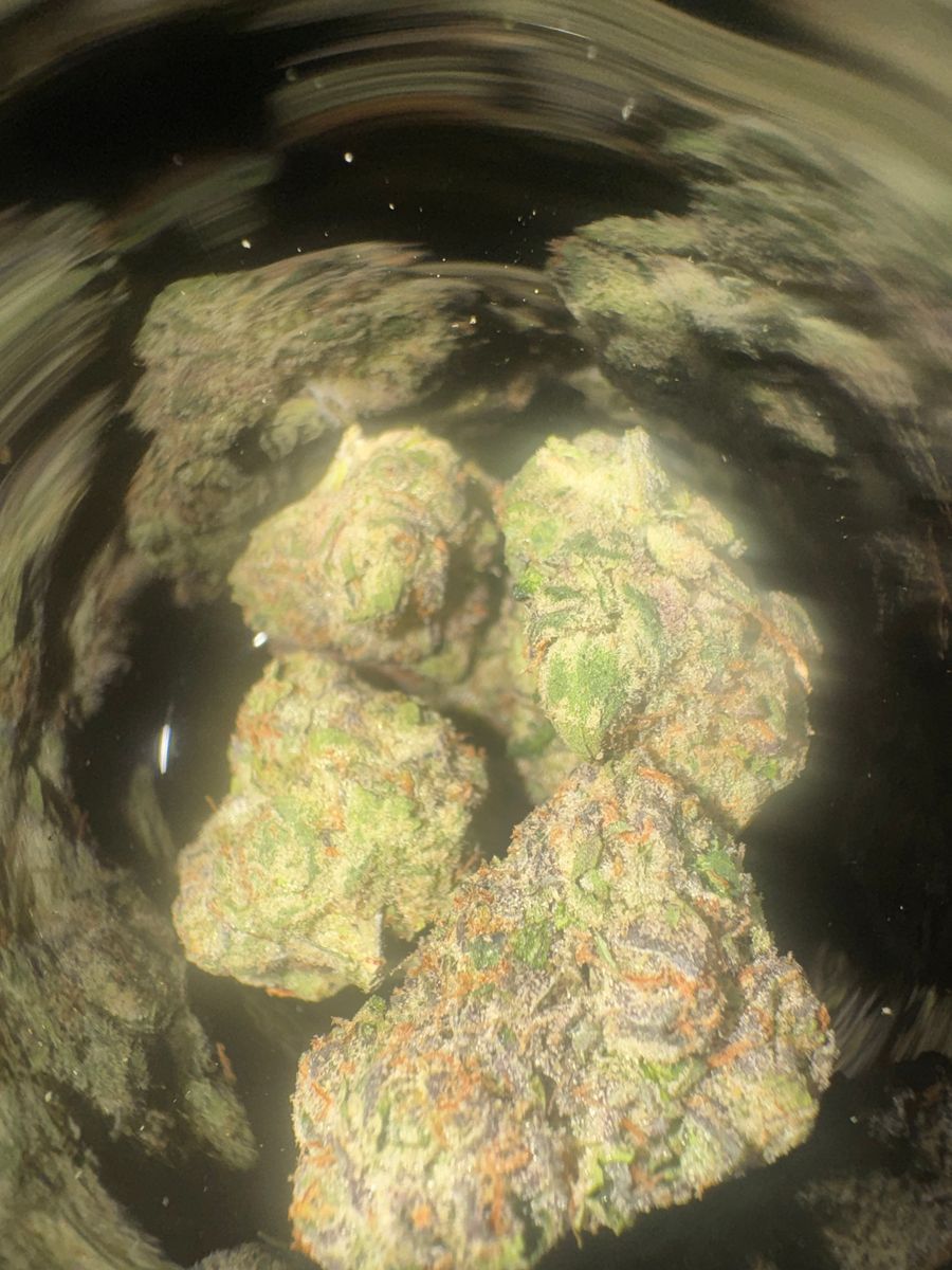 Watson Supply: Melon Soda X Ozk