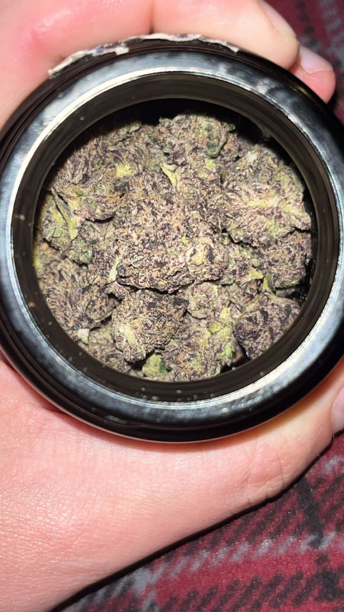 Razberry Runtz strain