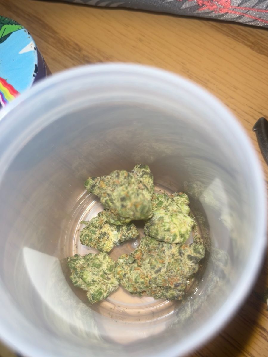 Canal Street Runts strain
