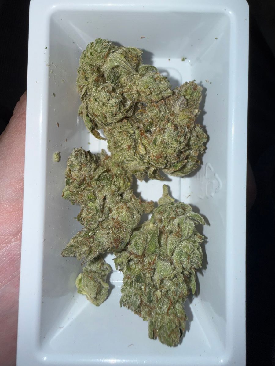 Gorilla Glue #4 strain