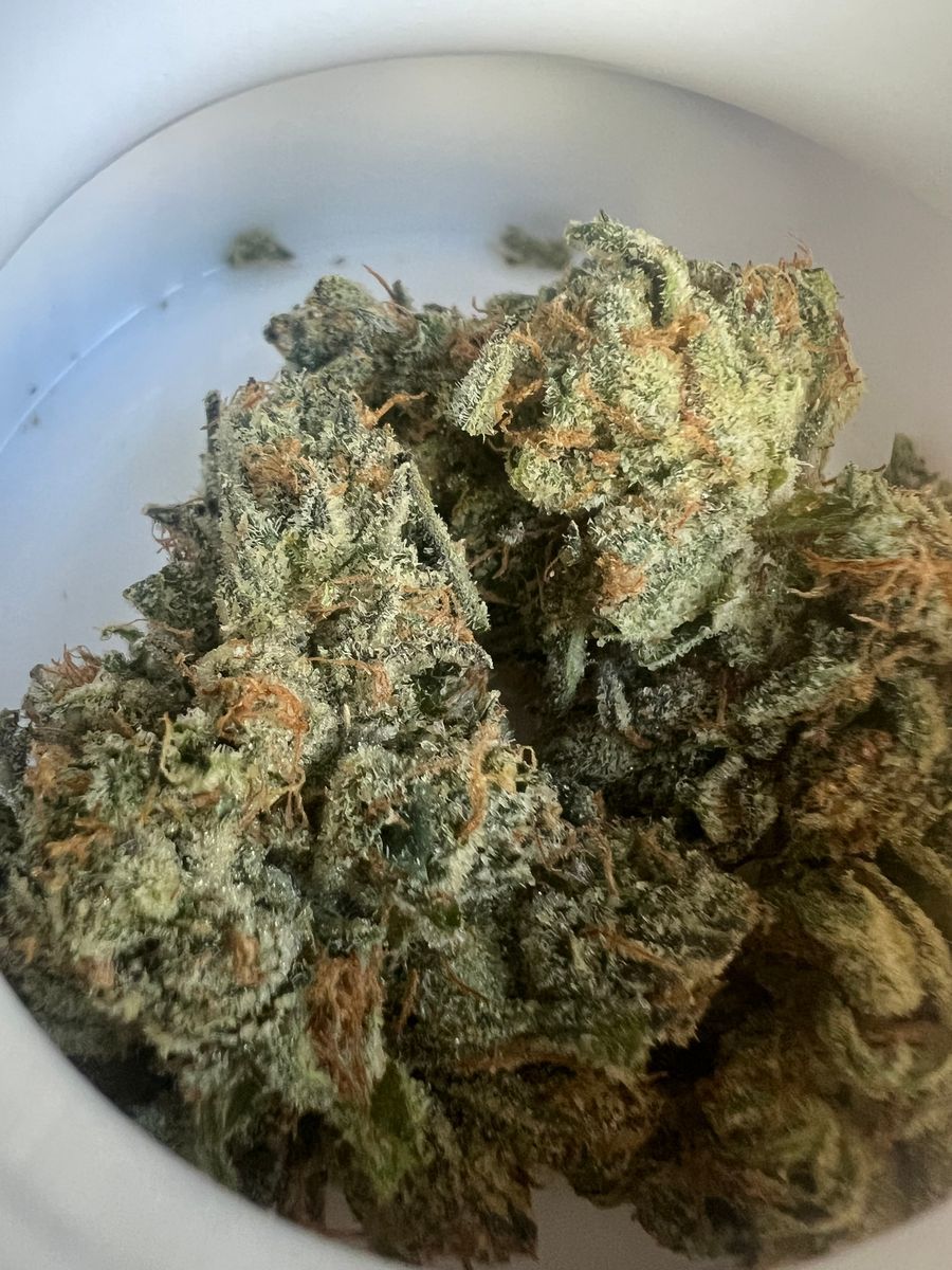 710Labs Z Pie #9