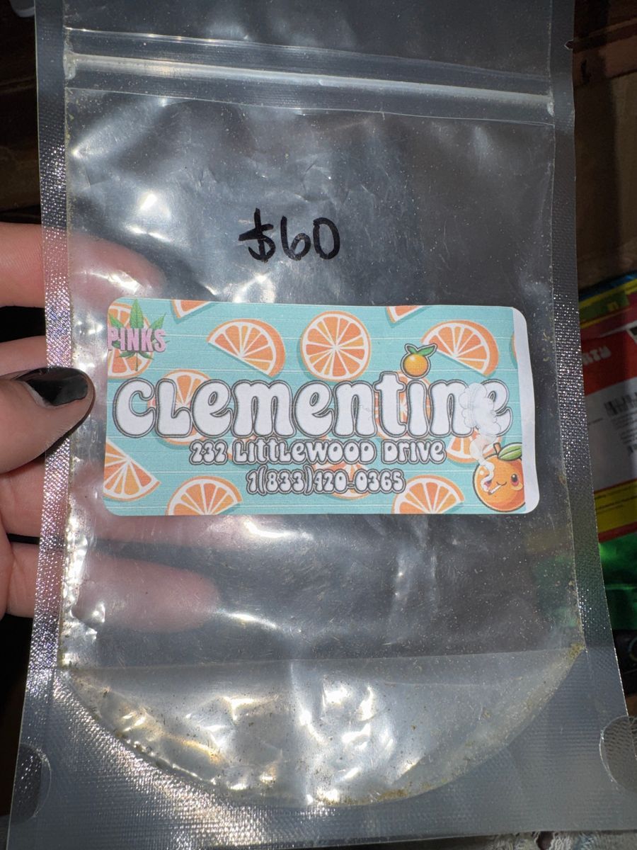 Clementine strain