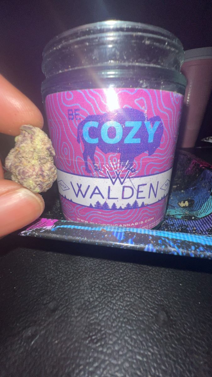 Be Cozy Walden-Bubba Kush Bubba Kush -Be Cozy Walden