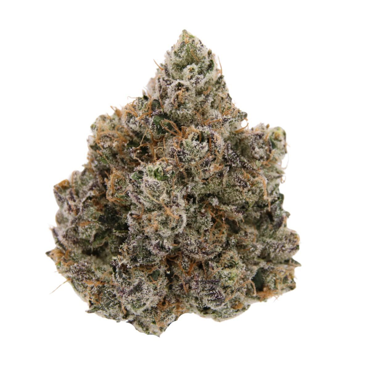 Dragon Glass strain