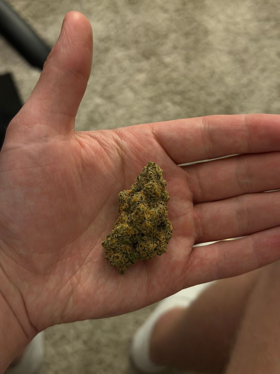 Crescent Canna Uk Cheese X Gsc