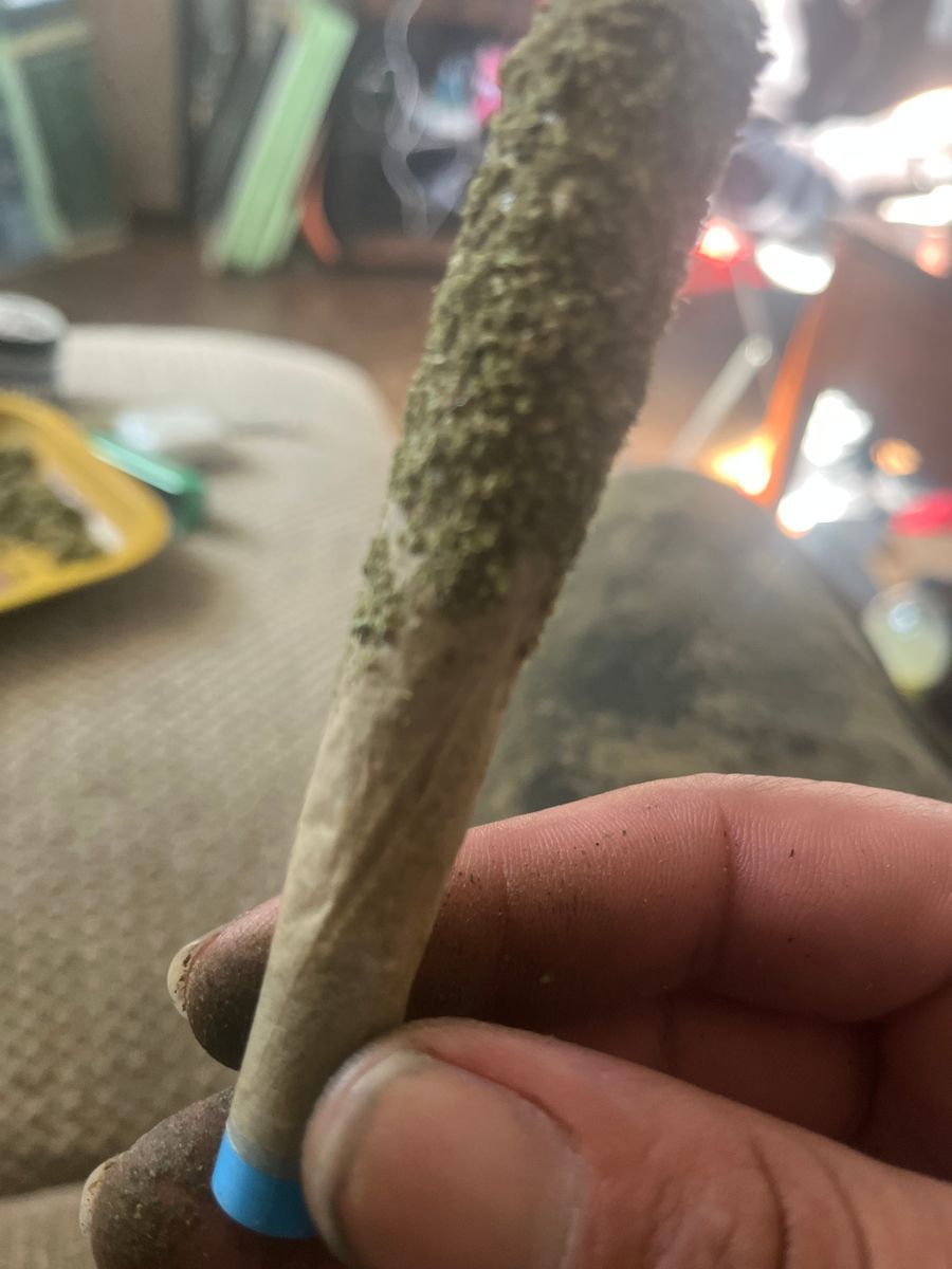 Backpack Boys Indica