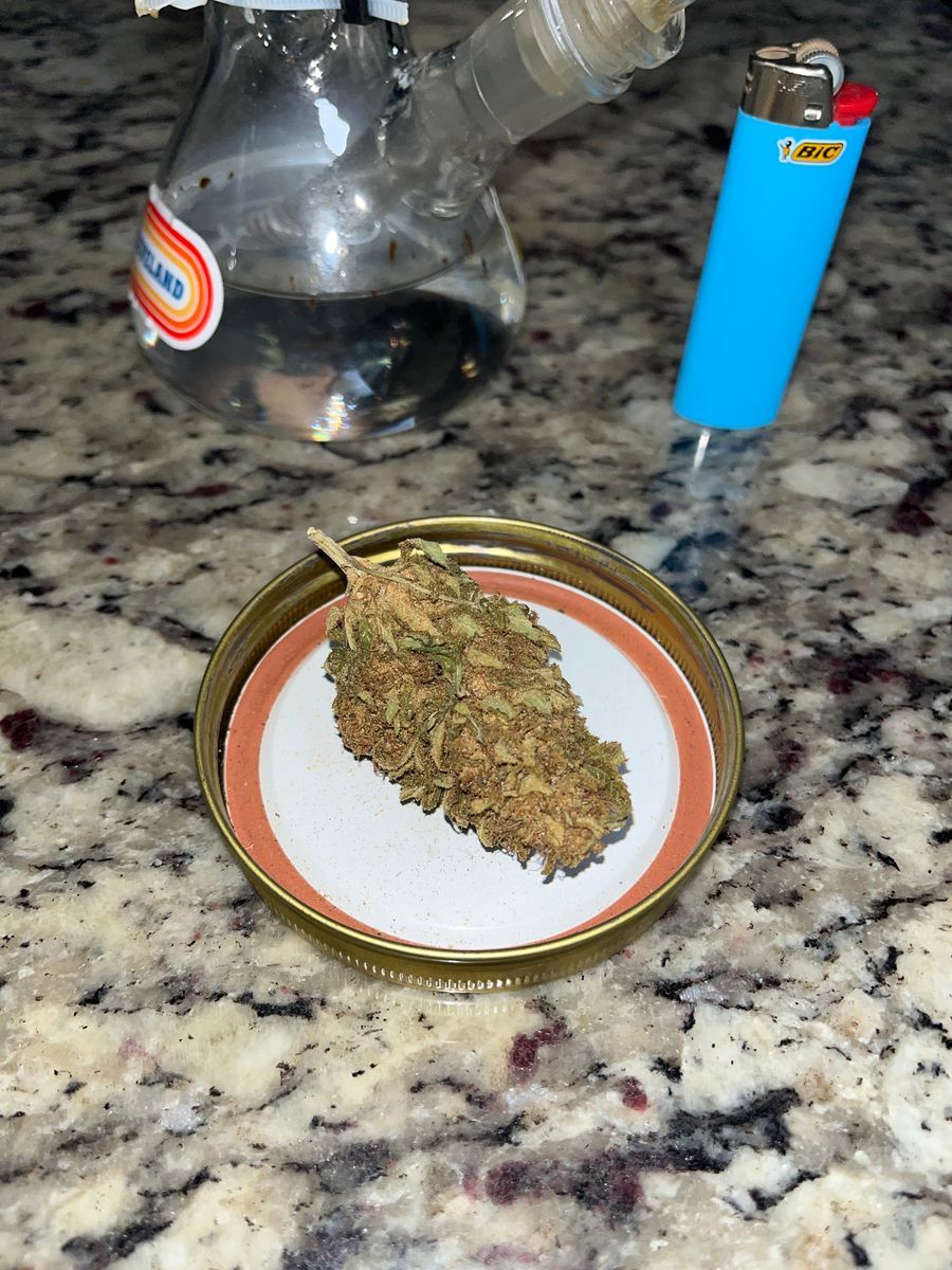 No Clue 😂 strain