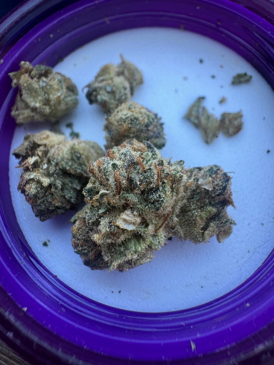 Wizard Trees Gas Gimlet