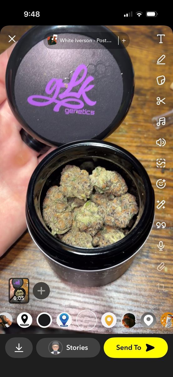 Grape Runtz strain