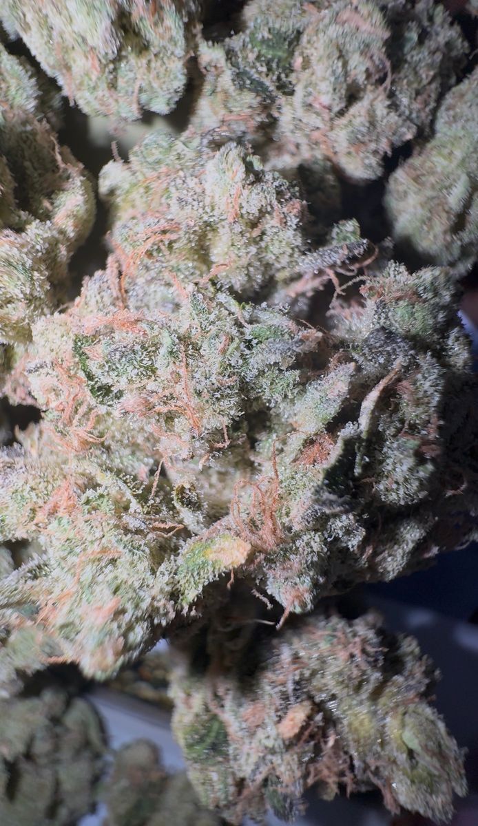 710 Labs Mad Honey #13