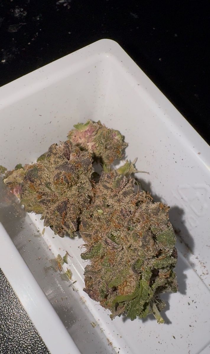 Trop Z strain