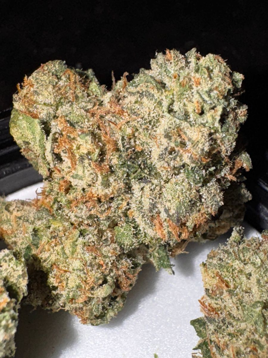 Alien Labs Baklava