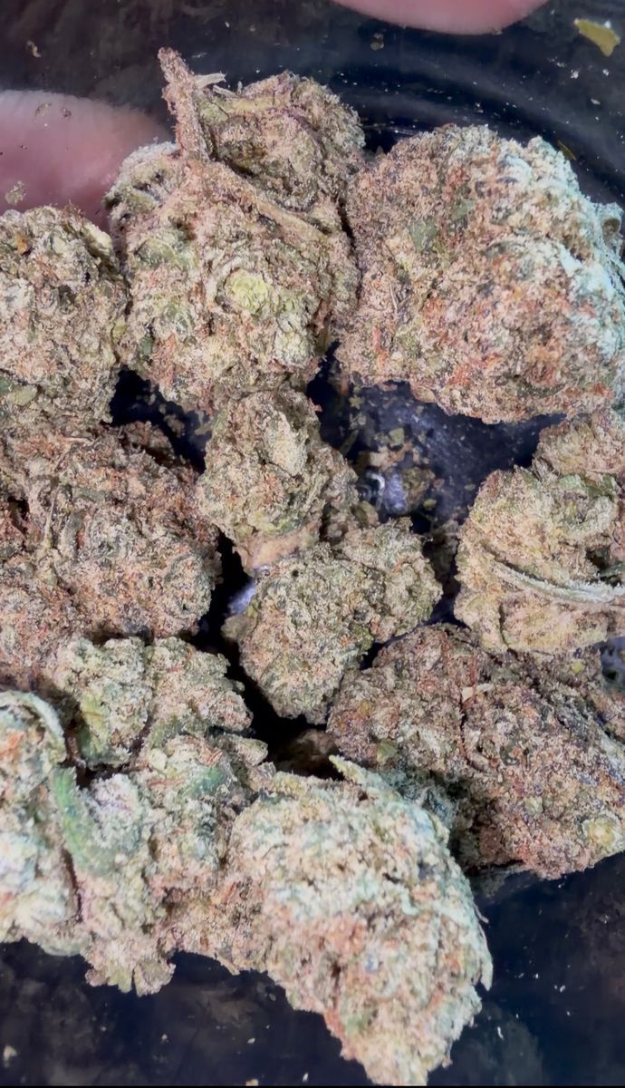 From Da Plug: Candyland
