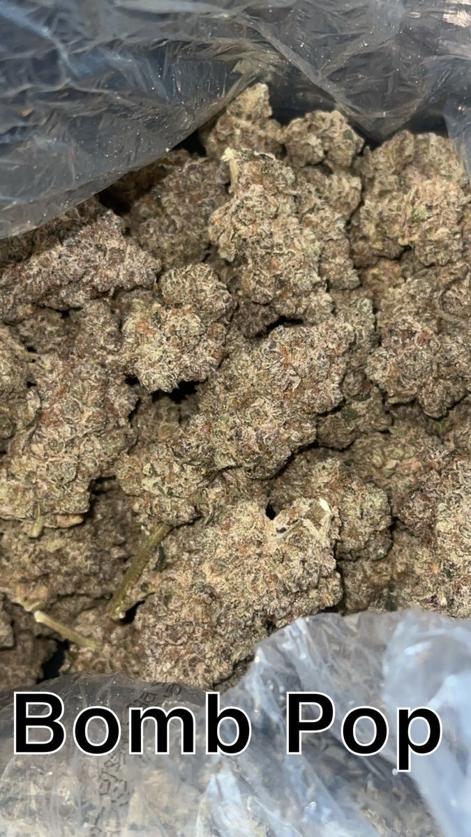Maine Trees Bomb Pop