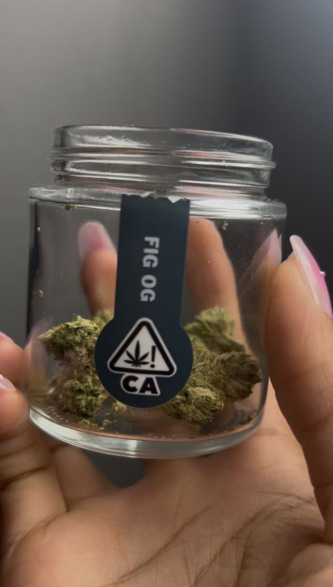 Fig Og strain