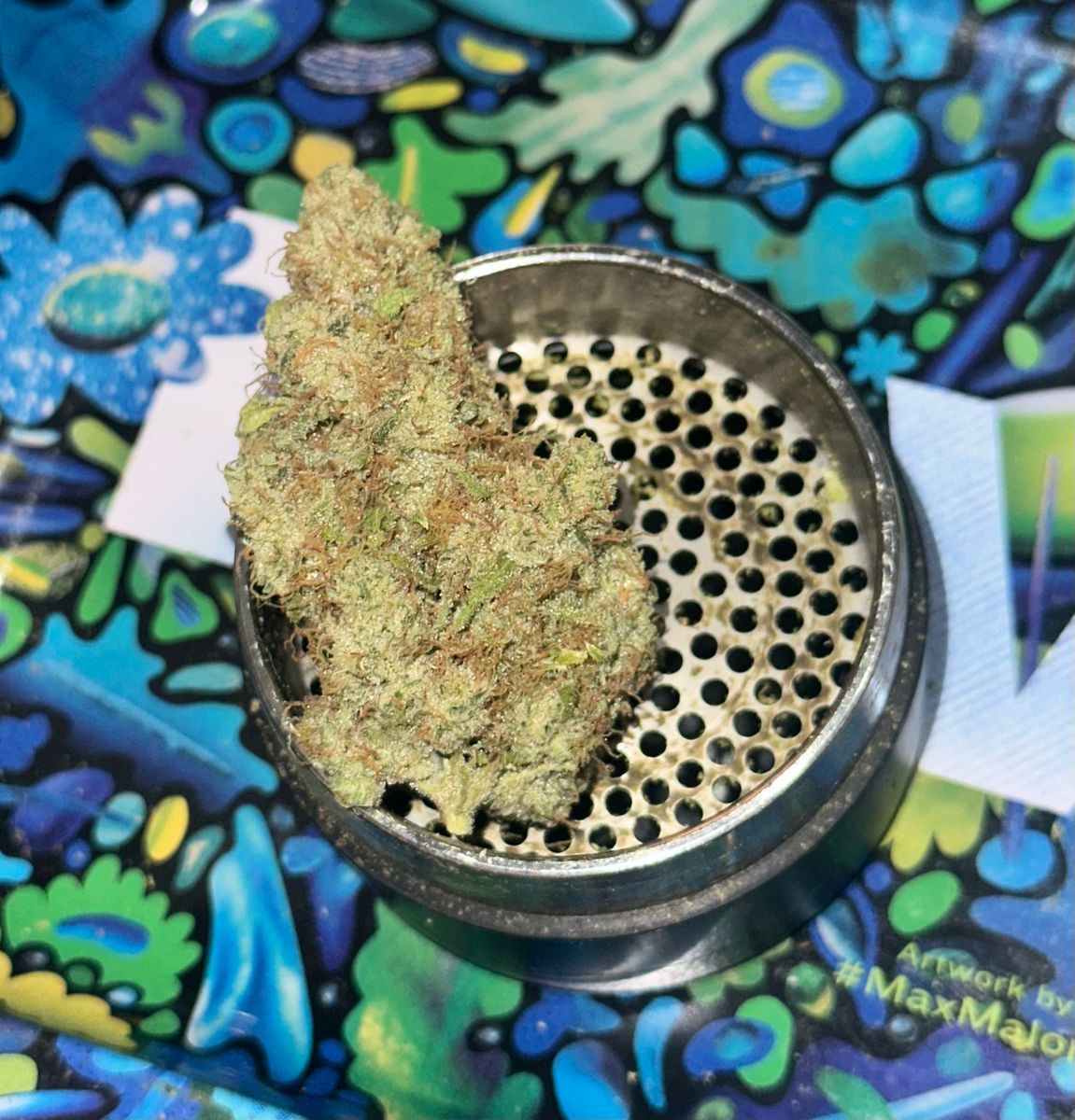 Emerald Apricot strain