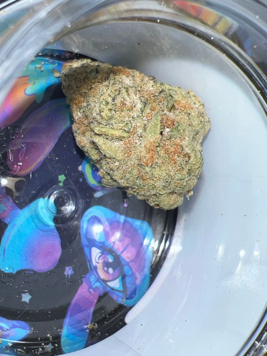 Biscotti Ck Infused Flower strain