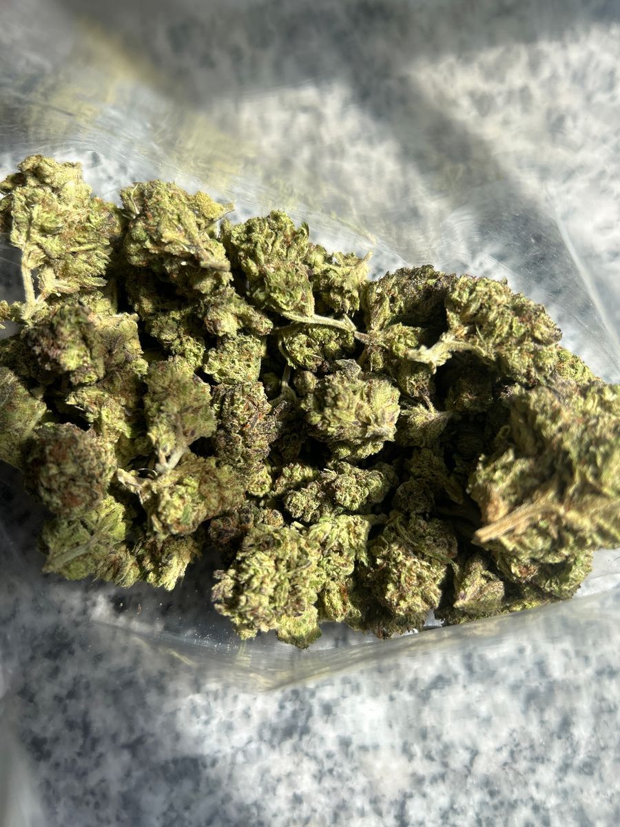Idek strain