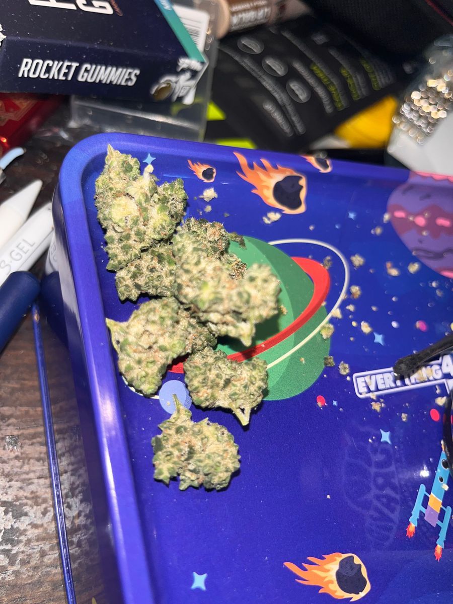 The Black strain