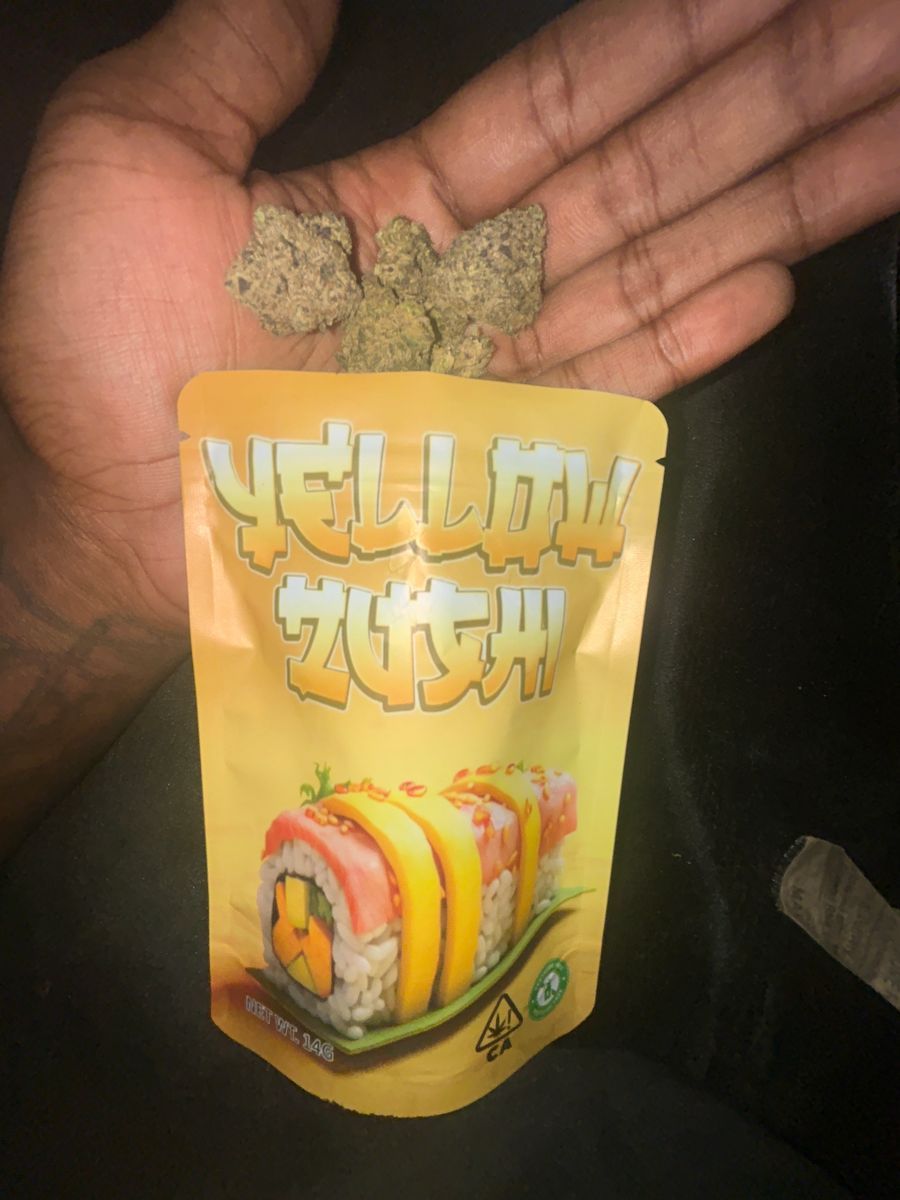 Dutch Pharms Yellow Zushi