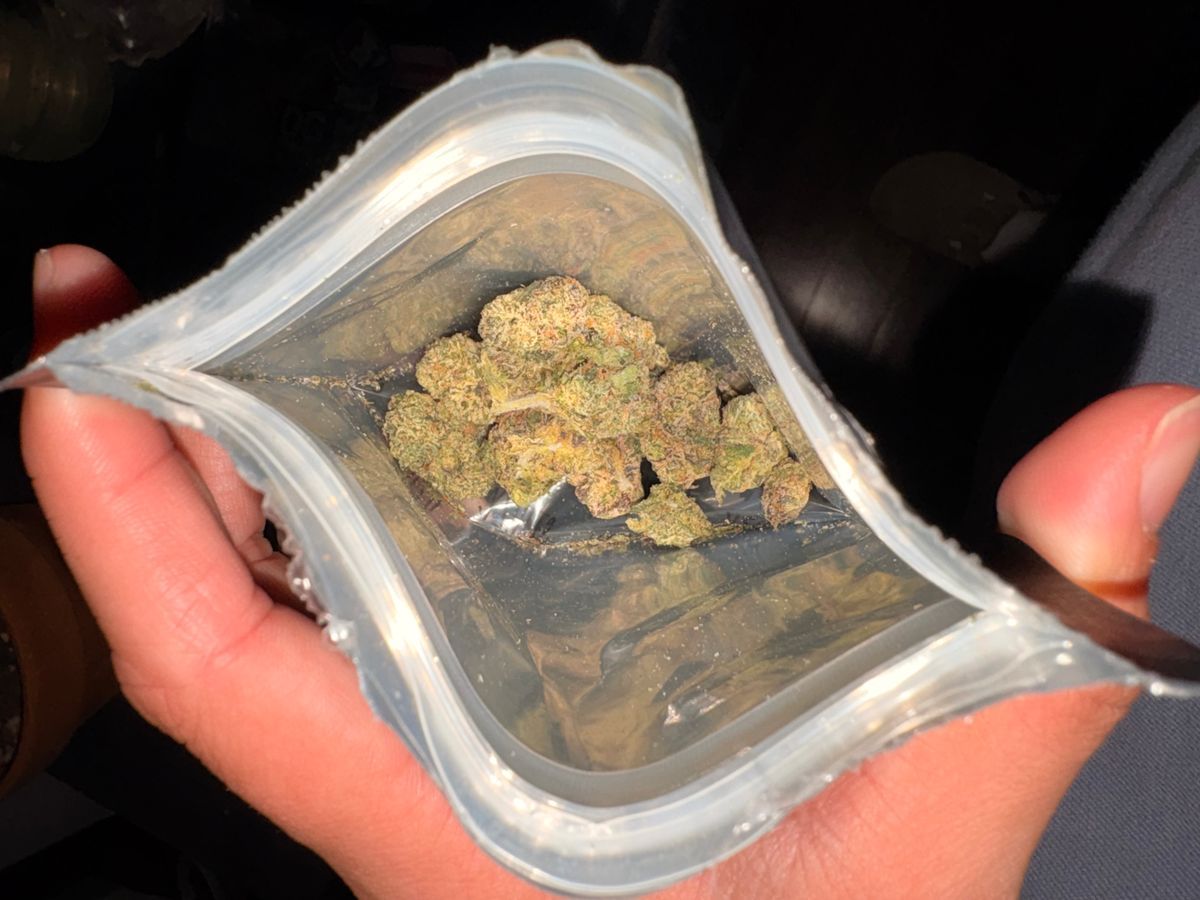 Stiiizy Blue Caviar
