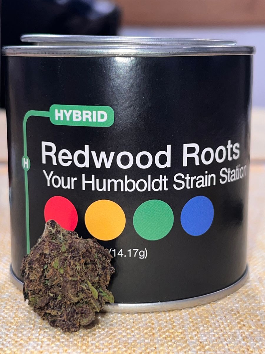 #26 strain