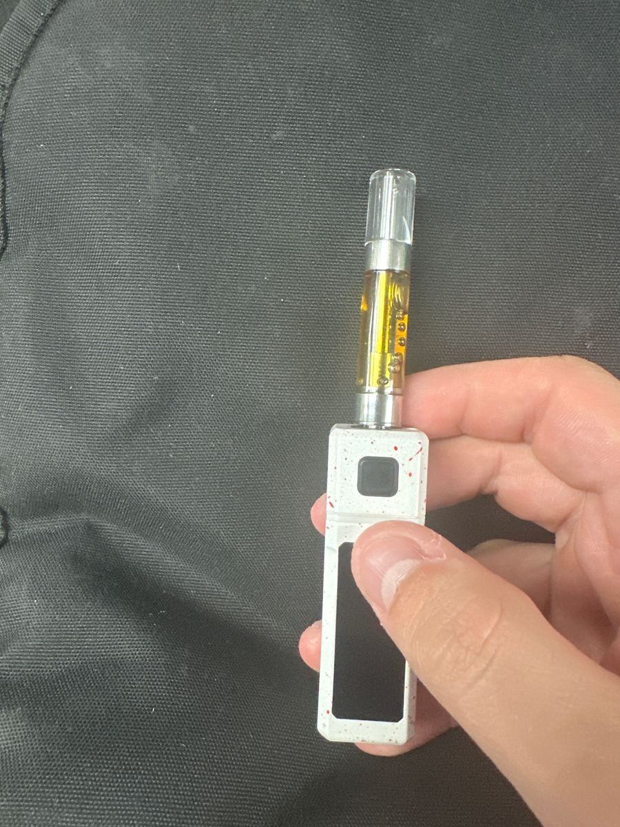 Vanilla Gelato strain