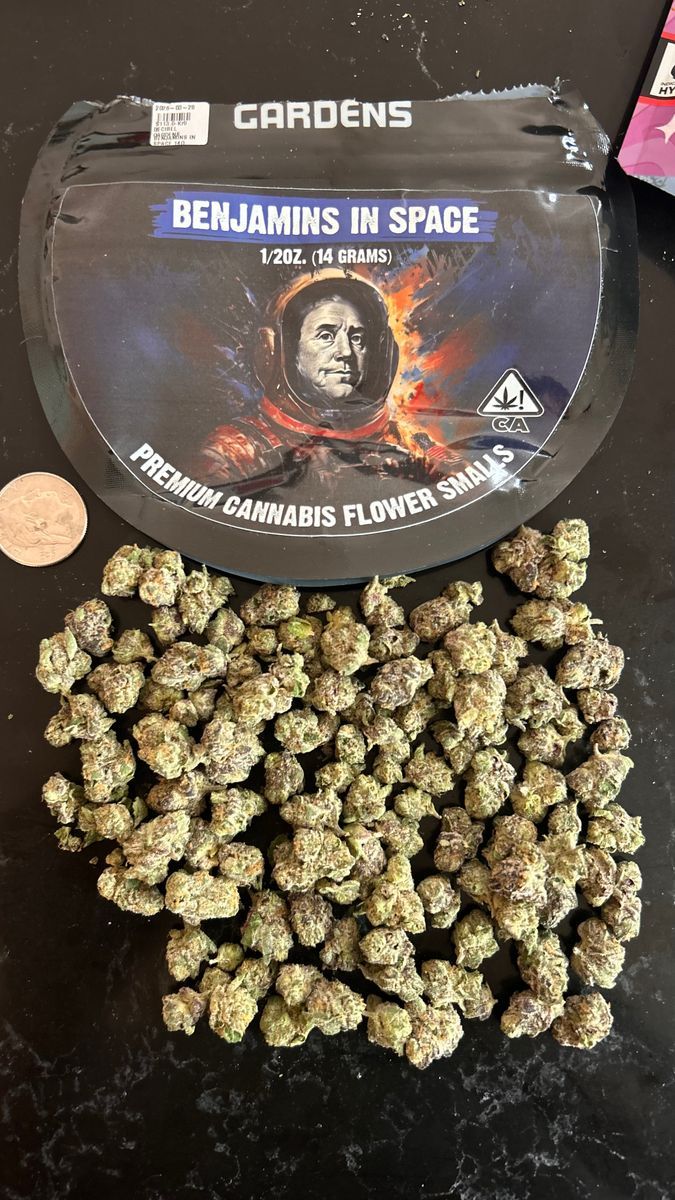 Decibel Gardens Benjamins In Space