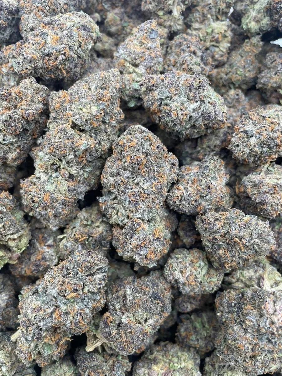 Blue Sushi Indica