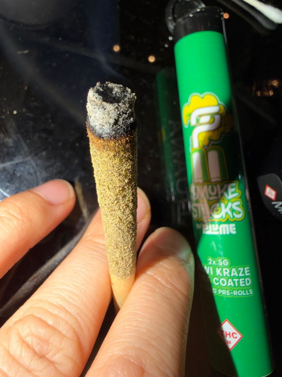 Plume Kiwi Kraze Kief Coated Infused Preroll