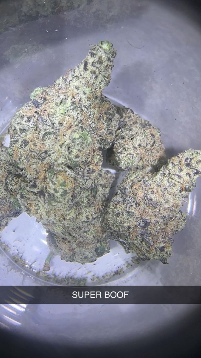 Illinois Grown Medicine Super Boof