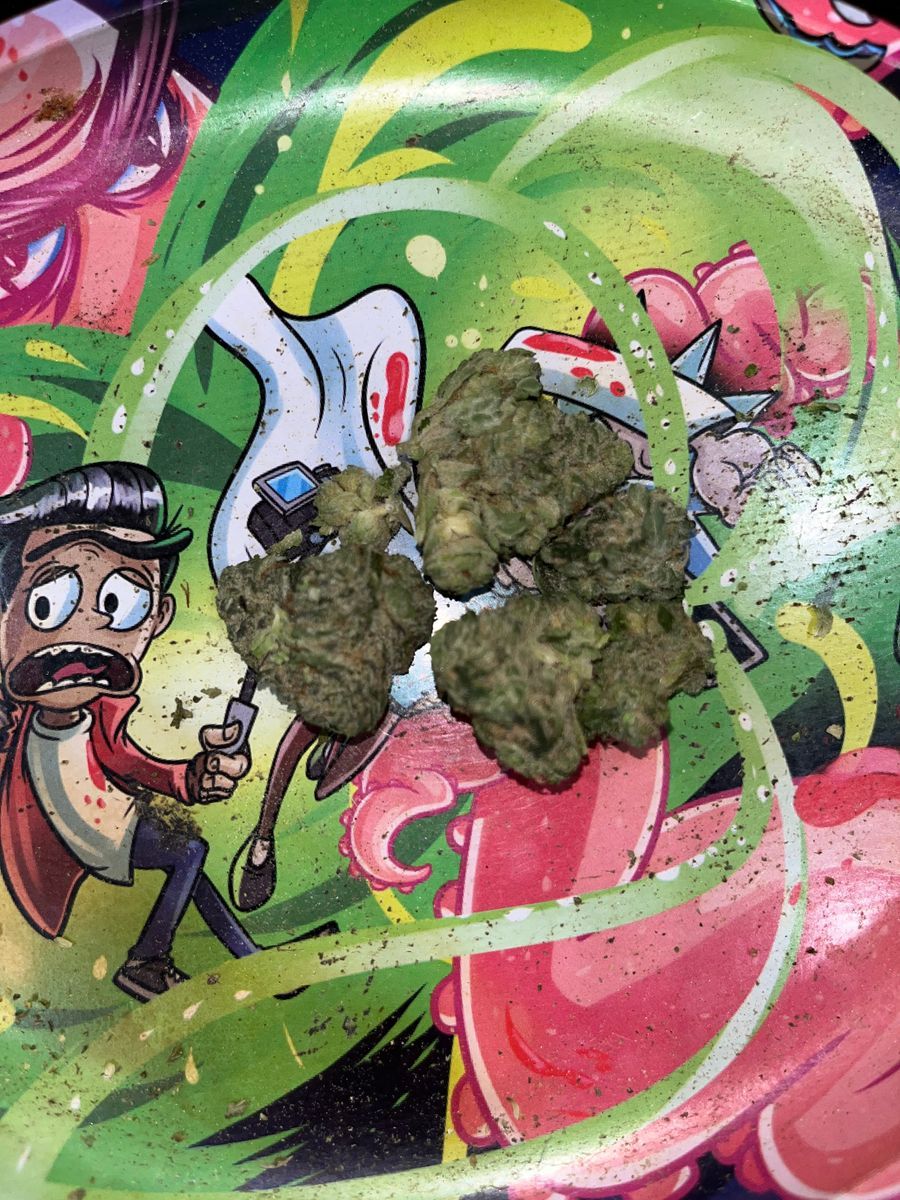 Maui True Blood strain