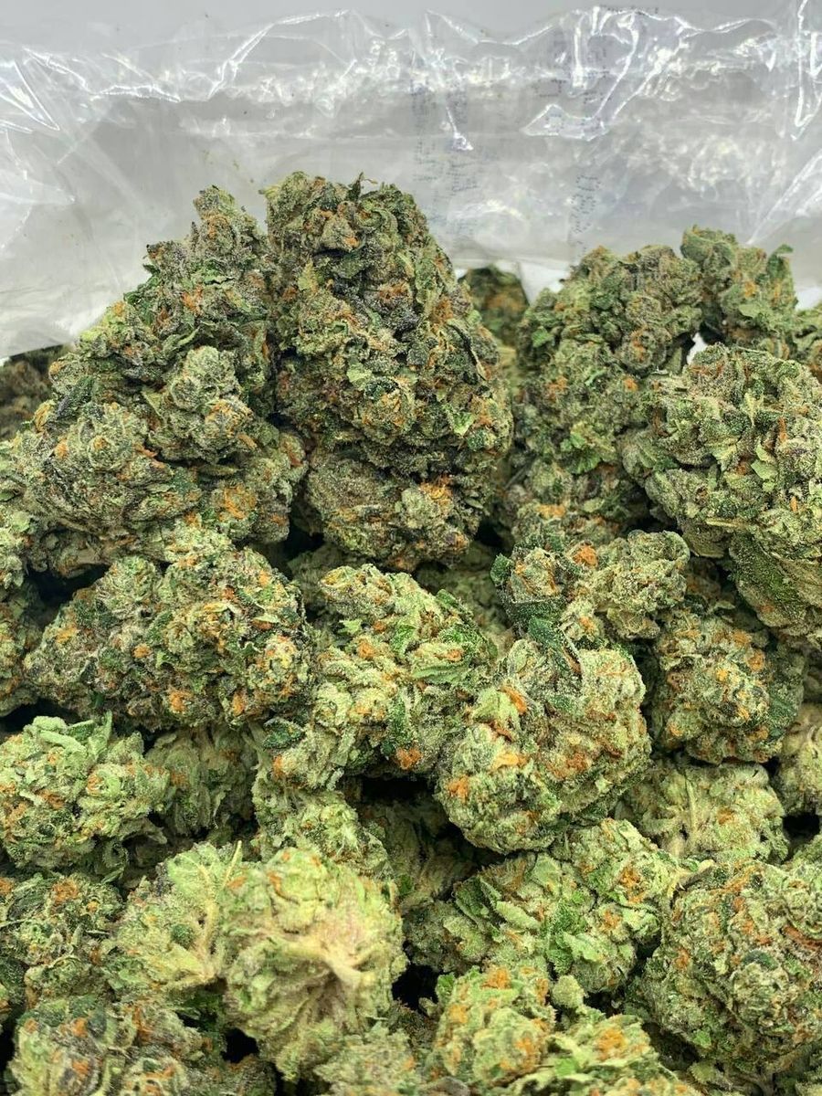 Forevergreen : Sugar High