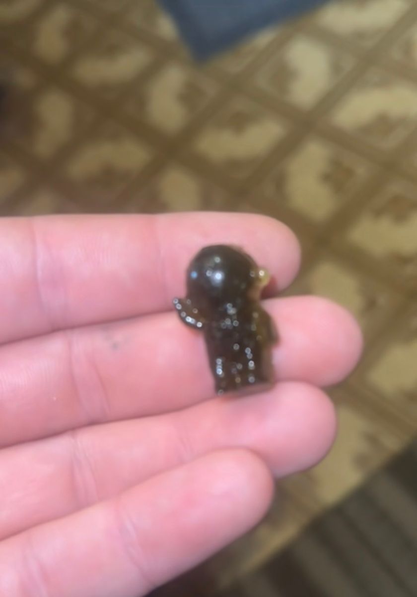Home Made Rso Gummies