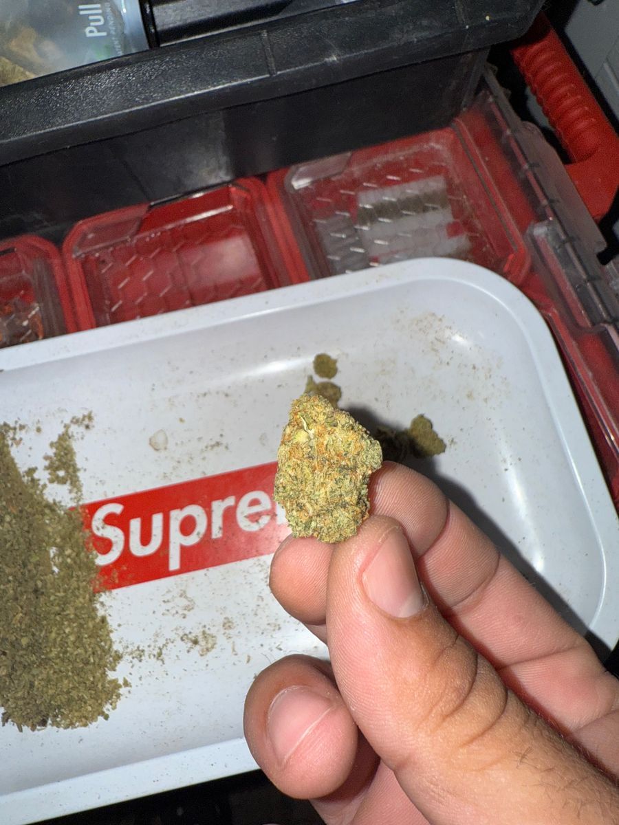 Mr Green Flower Gelato 41