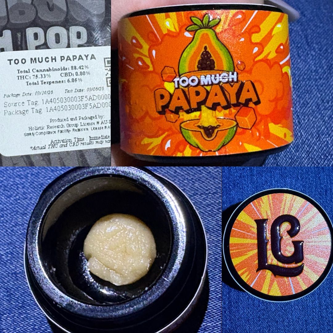 Too Much Papaya strain