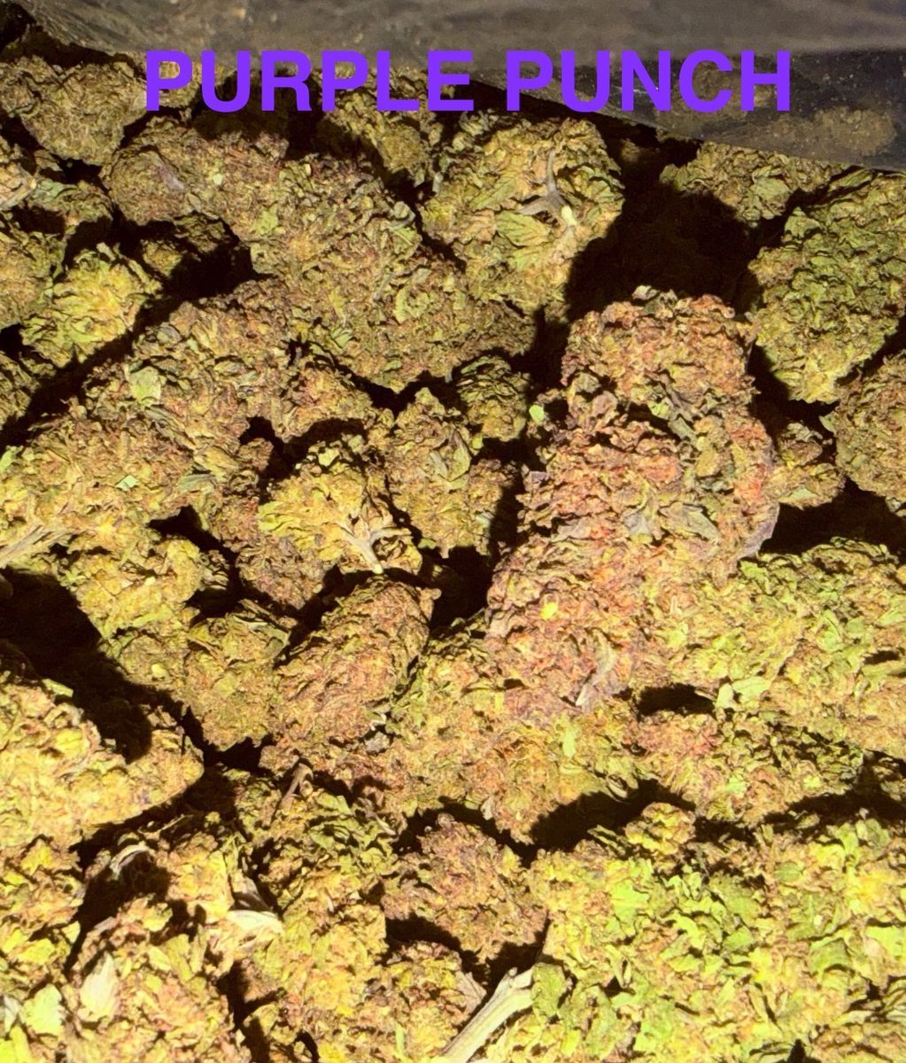 None Purple Punch