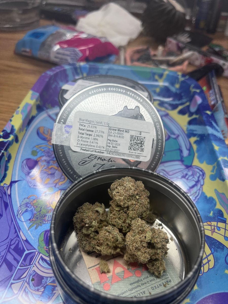 Blue Magoo strain