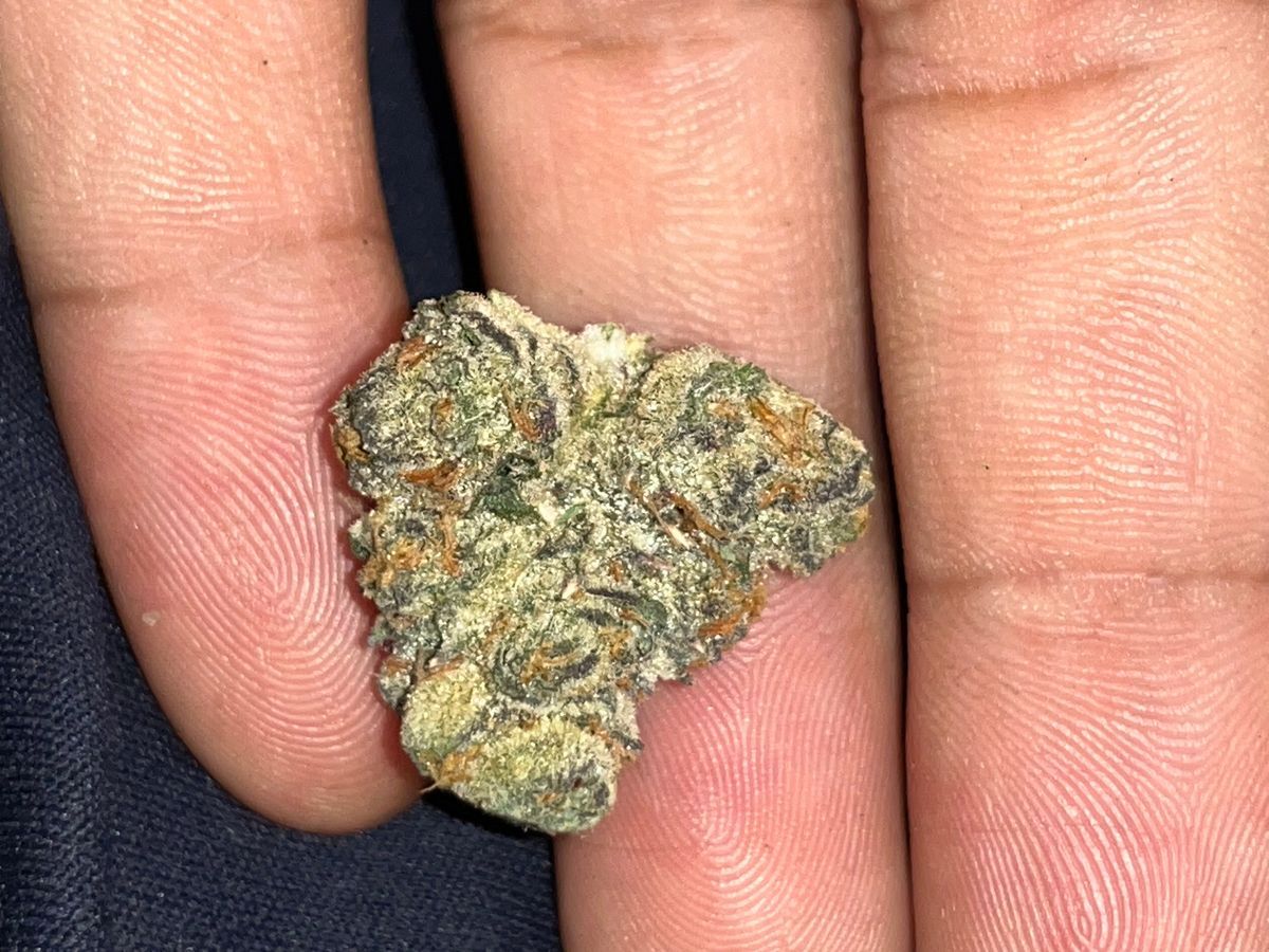 Hashburger strain