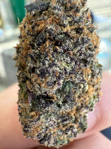deco420