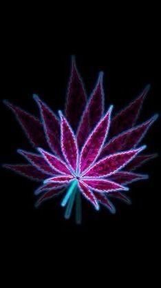 stonerqueen2000
