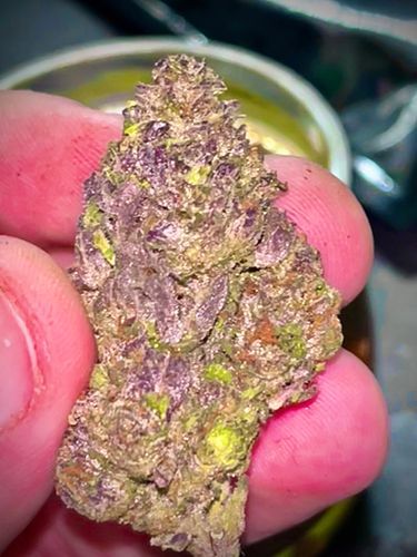 austinbattles420
