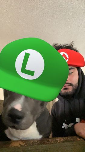 rex_racks