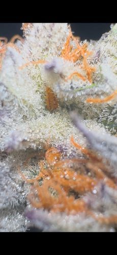 weed