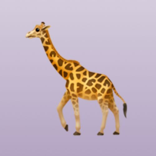 giraffebong