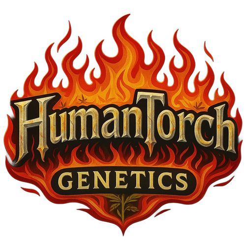 thehumantorch