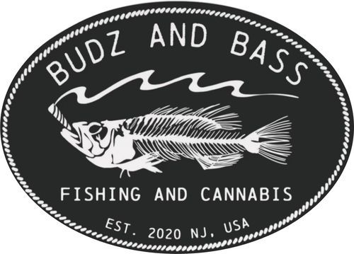 budzandbass
