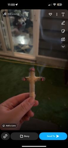 bud